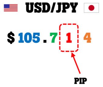 Forex most number of pips won
